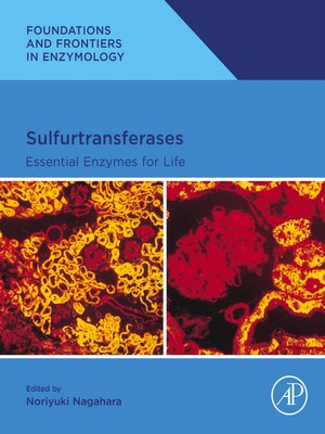 cover image of Sulfurtransferases